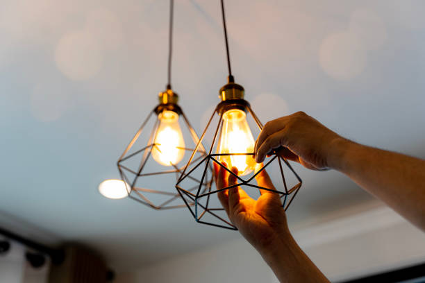 Best Electric Panel Repair  in Oakland City, IN